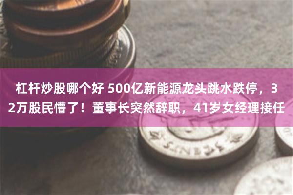 杠杆炒股哪个好 500亿新能源龙头跳水跌停，32万股民懵了！董事长突然辞职，41岁女经理接任