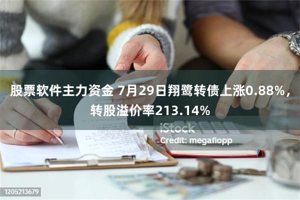 股票软件主力资金 7月29日翔鹭转债上涨0.88%，转股溢价率213.14%