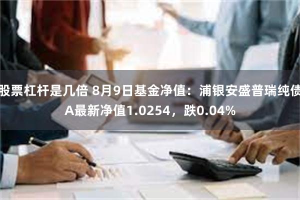 股票杠杆是几倍 8月9日基金净值：浦银安盛普瑞纯债A最新净值1.0254，跌0.04%