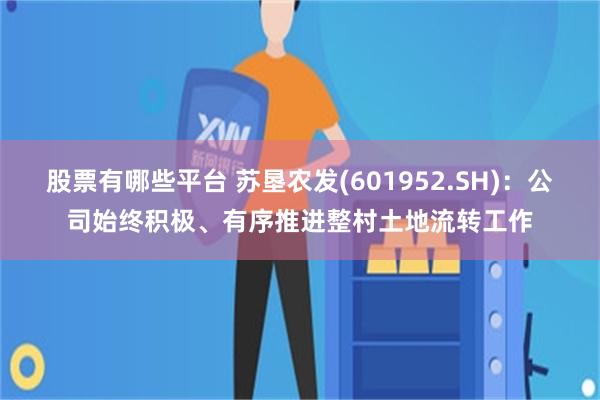 股票有哪些平台 苏垦农发(601952.SH)：公司始终积极