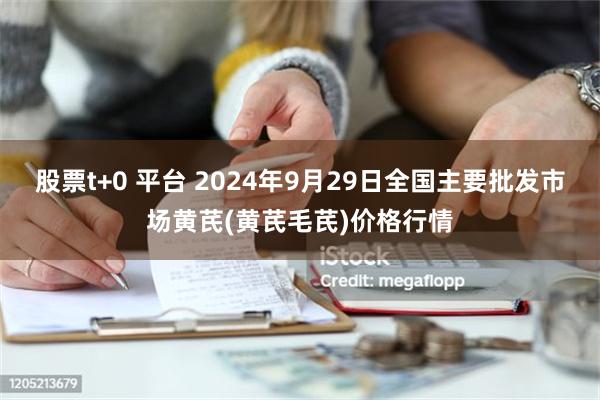 股票t+0 平台 2024年9月29日全国主要批发市场黄芪(黄芪毛芪)价格行情