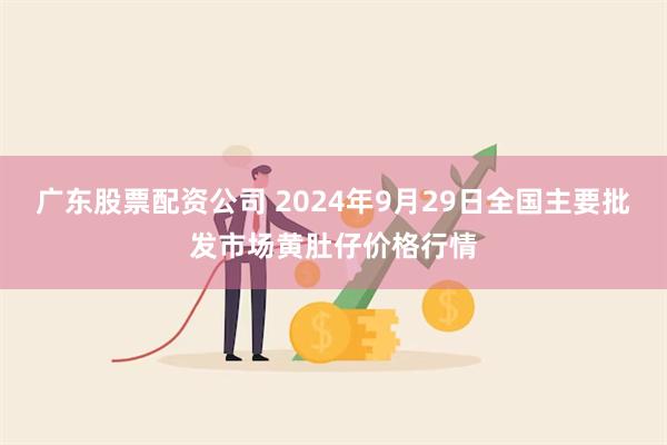 广东股票配资公司 2024年9月29日全国主要批发市场黄肚仔价格行情