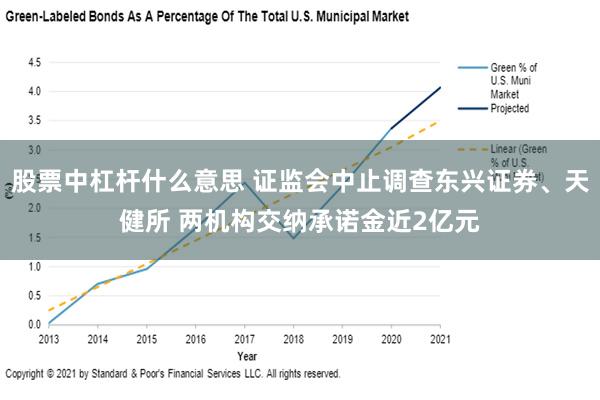 股票中杠杆什么意思 证监会中止调查东兴证券、天健所 两机构交纳承诺金近2亿元