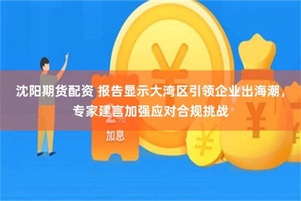 沈阳期货配资 报告显示大湾区引领企业出海潮，专家建言加强应对合规挑战