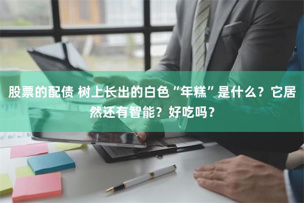 股票的配债 树上长出的白色“年糕”是什么？它居然还有智能？好吃吗？