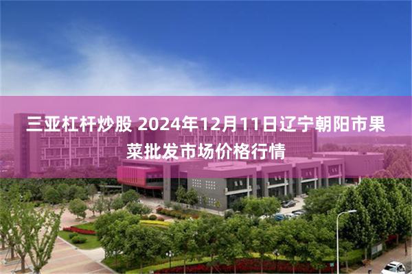 三亚杠杆炒股 2024年12月11日辽宁朝阳市果菜批发市场价格行情