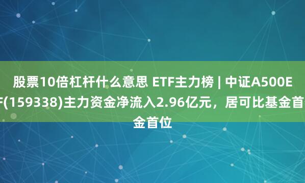 股票10倍杠杆什么意思 ETF主力榜 | 中证A500ETF(159338)主力资金净流入2.96亿元，居可比基金首位