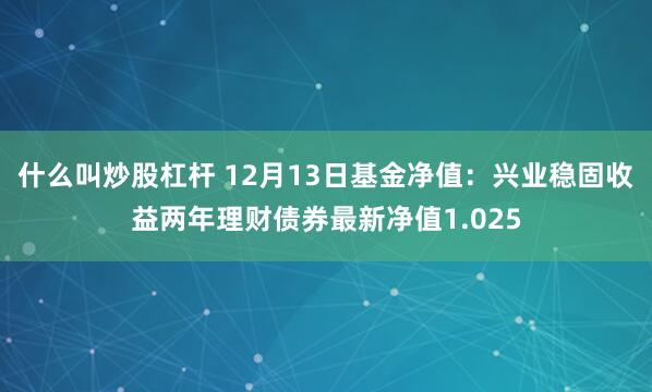 什么叫炒股杠杆 12月13日基金净值：兴业稳固收益两年理财债券最新净值1.025