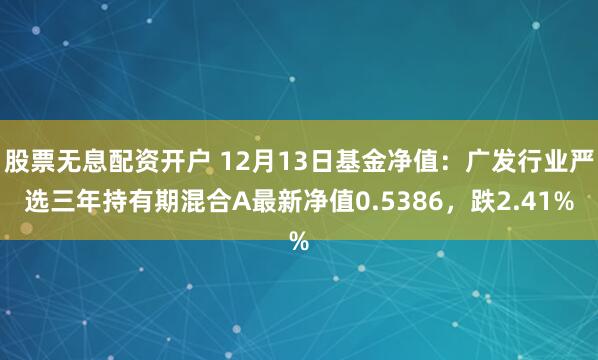 股票无息配资开户 12月13日基金净值：广发行业严选三年持有期混合A最新净值0.5386，跌2.41%