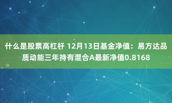 什么是股票高杠杆 12月13日基金净值：易方达品质动能三年持有混合A最新净值0.8168