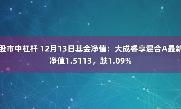 股市中杠杆 12月13日基金净值：大成睿享混合A最新净值1.5113，跌1.09%