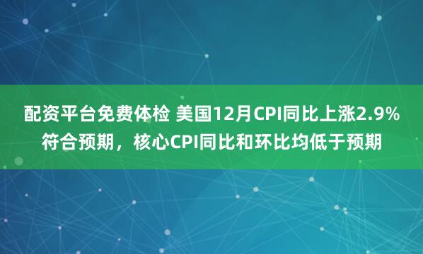 配资平台免费体检 美国12月CPI同比上涨2.9%符合预期，核心CPI同比和环比均低于预期