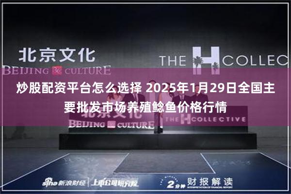 炒股配资平台怎么选择 2025年1月29日全国主要批发市场养殖鲶鱼价格行情