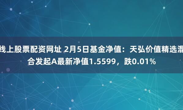 线上股票配资网址 2月5日基金净值：天弘价值精选混合发起A最新净值1.5599，跌0.01%