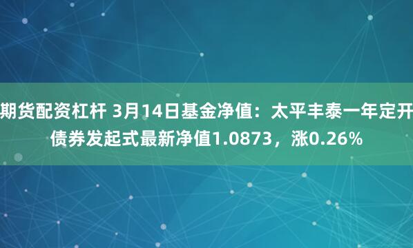 期货配资杠杆 3月14日基金净值：太平丰泰一年定开债券发起式最新净值1.0873，涨0.26%